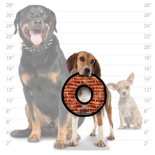 Tuffy s MEGA Series MEGA Jr. Ring OUT OF STOCK Four Your Paws Only